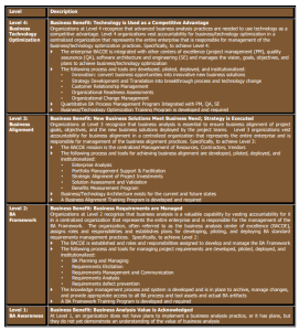MaturityModel